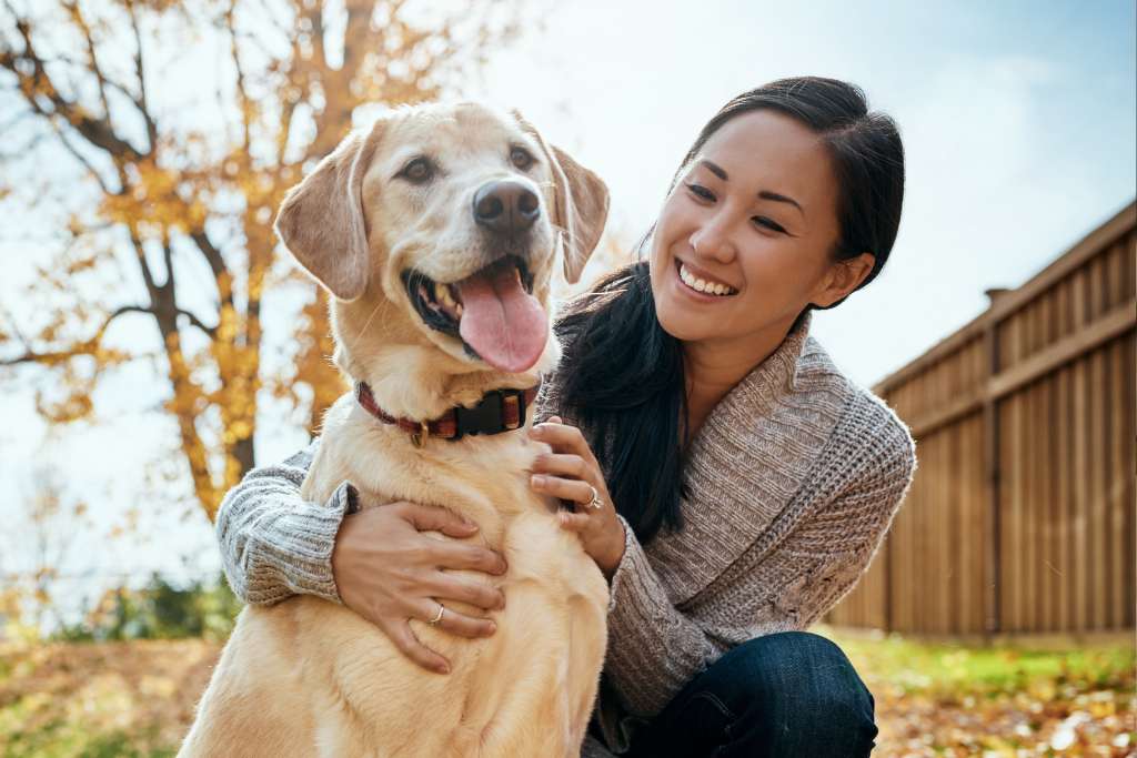 Dog Health Insurance
