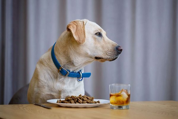 Giant Breed Dog Food