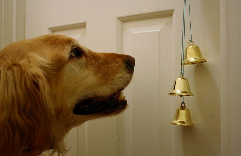 Doggy Doorbell