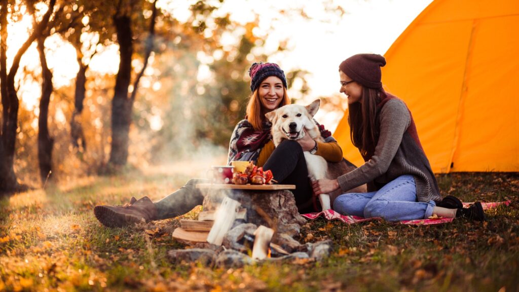 Travel-Friendly Dog Food