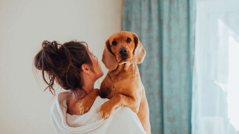 8 Ultimate Guide for New Dog Owners 8 Ultimate Guide for New Dog Owners
