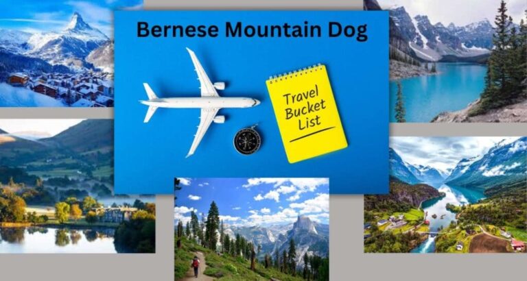 Bernese Mountain Dogs Bucket List: 10 Perfect Go to Outdoor Destinations