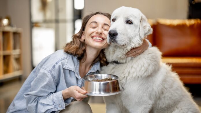 What to Feed a Sick Dog with No Appetite