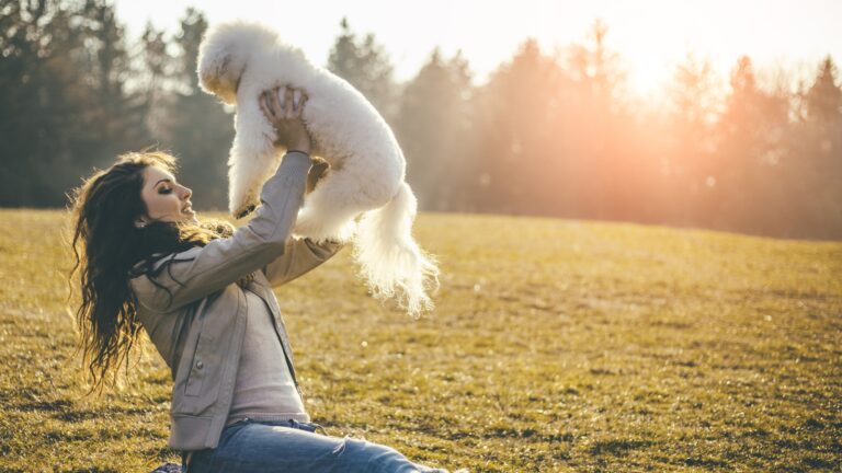 Why Is My Dog Panting So Much? Causes and Solutions Why Is My Dog Panting So Much? Causes and Solutions